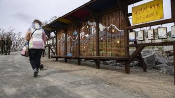 Neuzugang im Tierpark eingetroffen – Sein Blick wirkt etwas grimmig