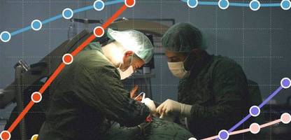 Gesundheitssystem: So abhängig ist Deutschland von syrischen Ärzten