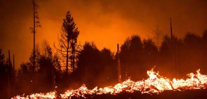 Urlaub und Recht: Geld zurück bei Waldbrand neben Hotel