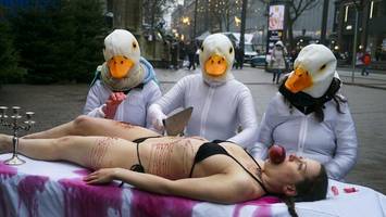 wenn gänse zum weihnachtlichen „menschenschmaus“ einladen