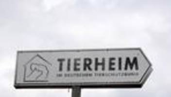 tierschutz: tierheime in sachsen erhalten höhere zuschüsse