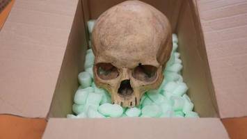 Plötzliche Reue: Deutscher gibt Totenschädel per Post zurück