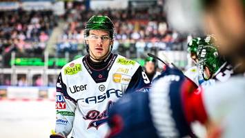 eisbären: die meister sind nur zuschauer beim olympia-casting