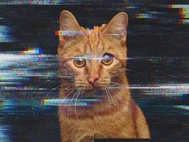 künstliche intelligenz: willkommen im sumpf