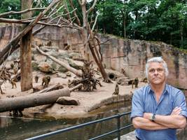 Nach der Tötung von Pavianen in Nürnberg: Hassbotschaften bis aus Kanada