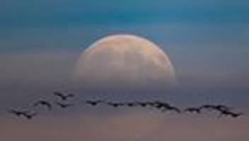 besonderer anblick: supermond am himmel - wo könnte er gut zu sehen sein?