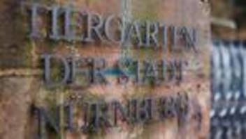 Geflügelpest: Wie Zoos in Bayern ihre Tiere vor der Vogelgrippe schützen