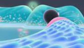 Non-Sleep Deep Rest: Der 20-Minuten-Schlafhack, der das Leben verändern soll