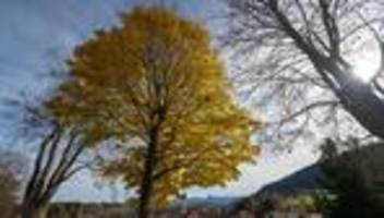 Prognose: Bayerns Wetter: Wo Nebel bleibt und wo die Sonne scheint