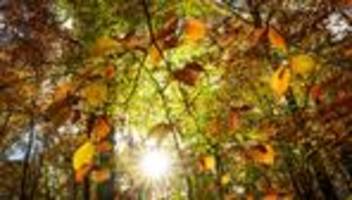 Wetter: Hessen erwartet sonnige Tage und frostige Nächte