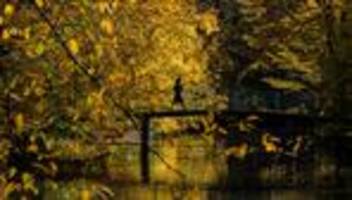 wetter: mildes herbstwetter bringt sonne und frost nach nrw