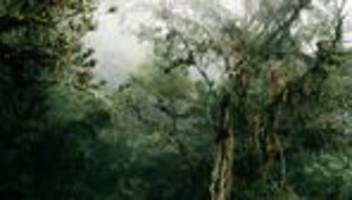 Amazonas: Sie passen auf ihn auf. Erst mal