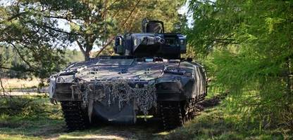 AfD: Spionagevorwürfe wegen Anfragen zu Bundeswehr-Fähigkeiten