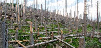 Klimakrise: EU-Umweltminister einigen sich auf Klimaziel für 2040