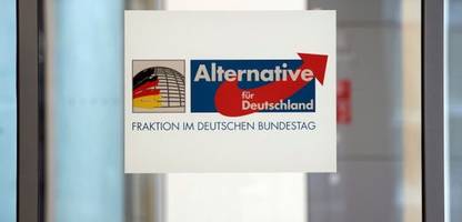AfD-Bundestagsabgeordnete wollen offenbar nach Russland reisen