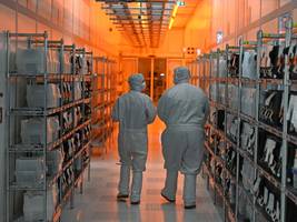 Niederlande: Was wirklich geschah bei Nexperia