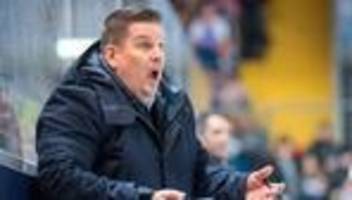 deutsche eishockey liga: tom pokel neuer trainer der löwen frankfurt