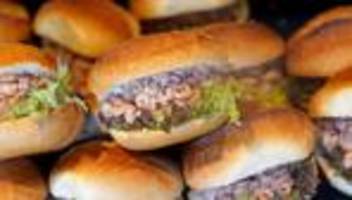 fischerei an der nordseeküste: fischer fangen mehr krabben – preisrückgang bis weihnachten?