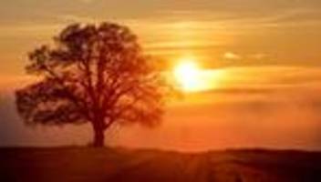Herbstwetter: Nebel legt sich übers Land - aber auch Sonne möglich