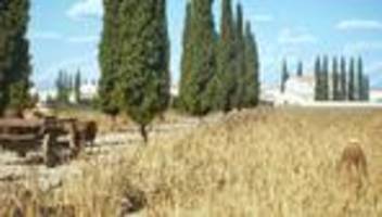 Neues Kartenprojekt: Römisches Straßennetz war weit größer als gedacht