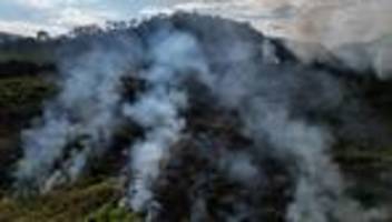 oecd-klimaschutzbericht: oecd warnt vor wirtschaftlichen folgen durch mangelnden klimaschutz