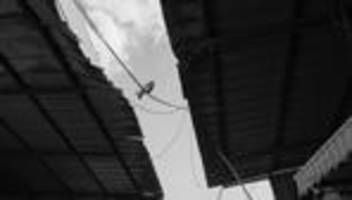 politische spaltung in israel: im inneren geht der krieg weiter