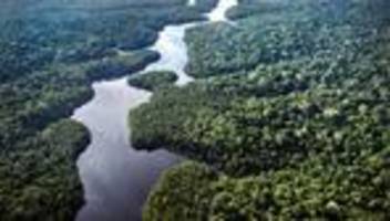 Weltklimagipfel: Der Amazonas als Kulisse - Was bringt die Klimakonferenz?