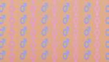 Selbstbestimmungsgesetz: Stimmt es, dass das Selbstbestimmungsgesetz zum Missbrauch einlädt?