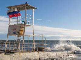 AfD und Russland: AfD-Abgeordnete planen Reise nach Sotschi