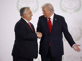 Treffen in Washington: Viktor Orbáns letzte Hoffnung: Donald Trump