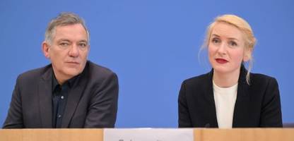 linke – israel: parteispitze kritisiert beschluss der parteijugend