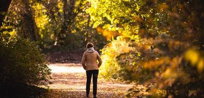 renten-paket könnte laut neuen berechnungen so teuer werden wie sondervermögen