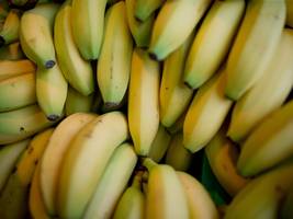 Lieferkettengesetz: Bananenarbeiter in Costa Rica werden entschädigt