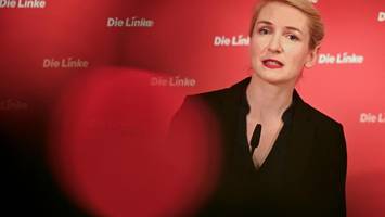 linken-spitze kritisiert israel-beschluss der parteijugend