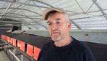 Bei Bremen: Geflügelpest-Ausbruch ist für Landwirt eine Katastrophe