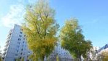 Klimapolitik: Verkehrsclub: Beim Baumgesetz Verkehrsplanung mitdenken