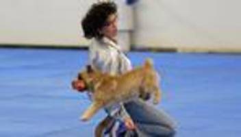 Messe Hund und Pferd: Tanzende Hunde wetteifern um Meistertitel