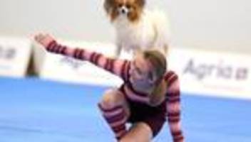 Messe Hund und Pferd: Wenn Hunde tanzen - Meisterschaft in Dog Dancing gestartet