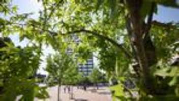 Stadtplanung: Senat stellt über drei Millionen Euro für 900 Bäume bereit