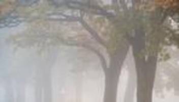 Wetter: Nebel und Sonnenschein in Berlin und Brandenburg