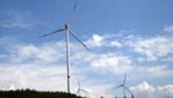 Windenergie und Umwelt: Neuere Studien widerlegen AfD-Zahlen zu Windrad-Abrieb