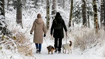 Hitzewelle oder Extremwinter? DWD-Experte erklärt, was auf uns zukommt