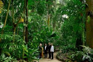 COP 30 in Brasilien: Der Moment der Wahrheit für den Klimaschutz