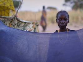 sudan: wo sind all die menschen von al-faschir?