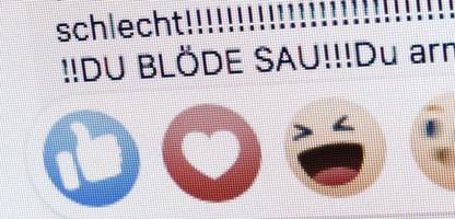 beleidigung: journalisten verdienen keinen besseren schutz als polizisten oder bademeister