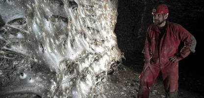 Forscher finden größtes bekanntes Spinnennetz der Welt