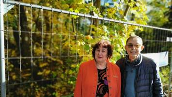 Hamburger Park: Umgestaltung wird zunehmend zum „Desaster“