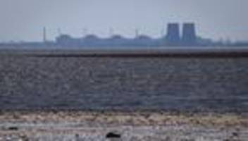 Krieg in der Ukraine: IAEA: Zweite Stromleitung für AKW Saporischschja repariert