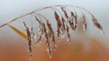 Wetteraussichten: Neue Woche startet trüb und nebelig