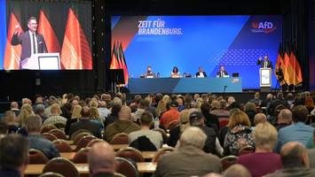 „unter aller sau“: raue diskussionen auf afd-parteitag in brandenburg